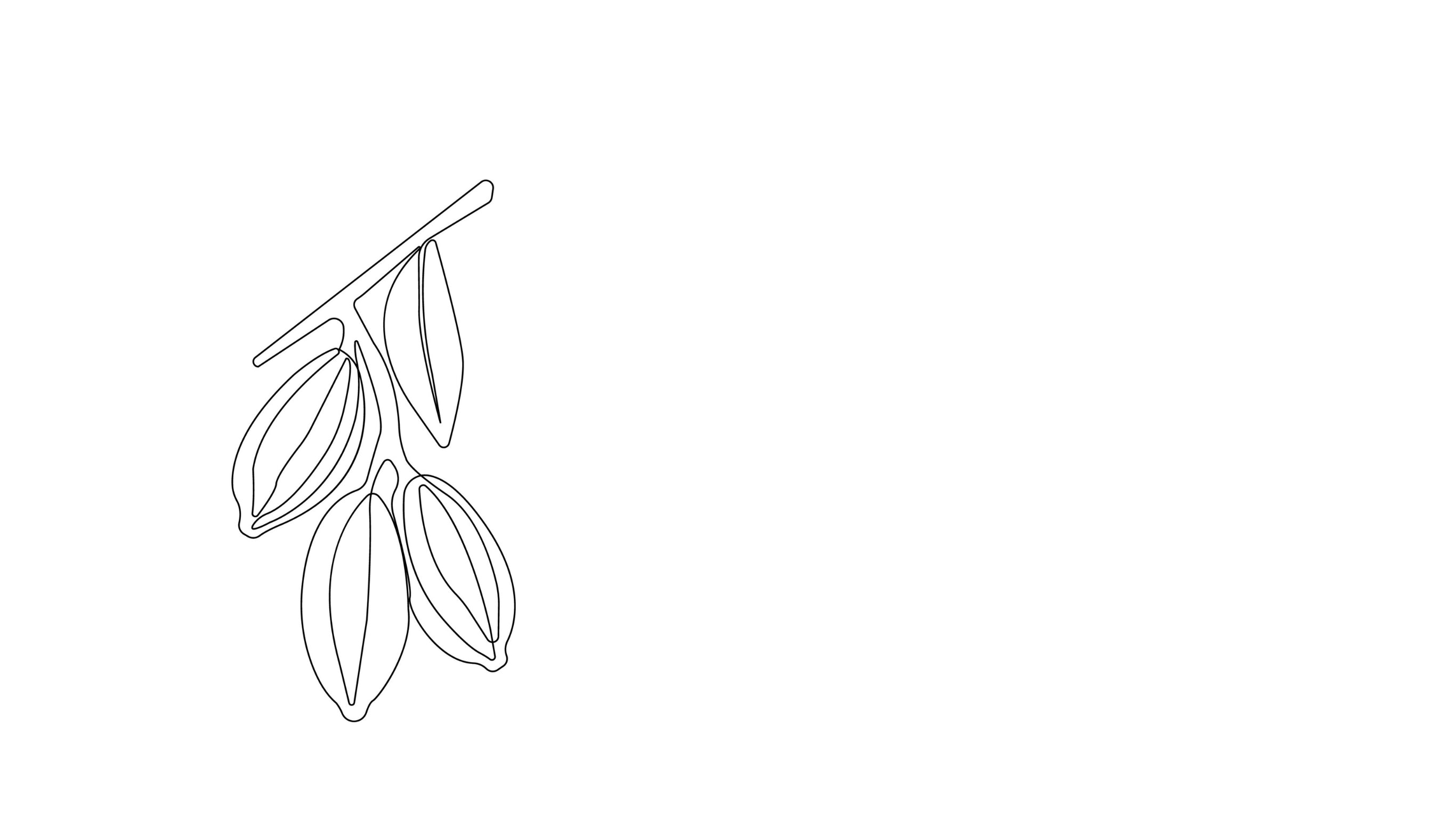 Jojoba Oil & Esters