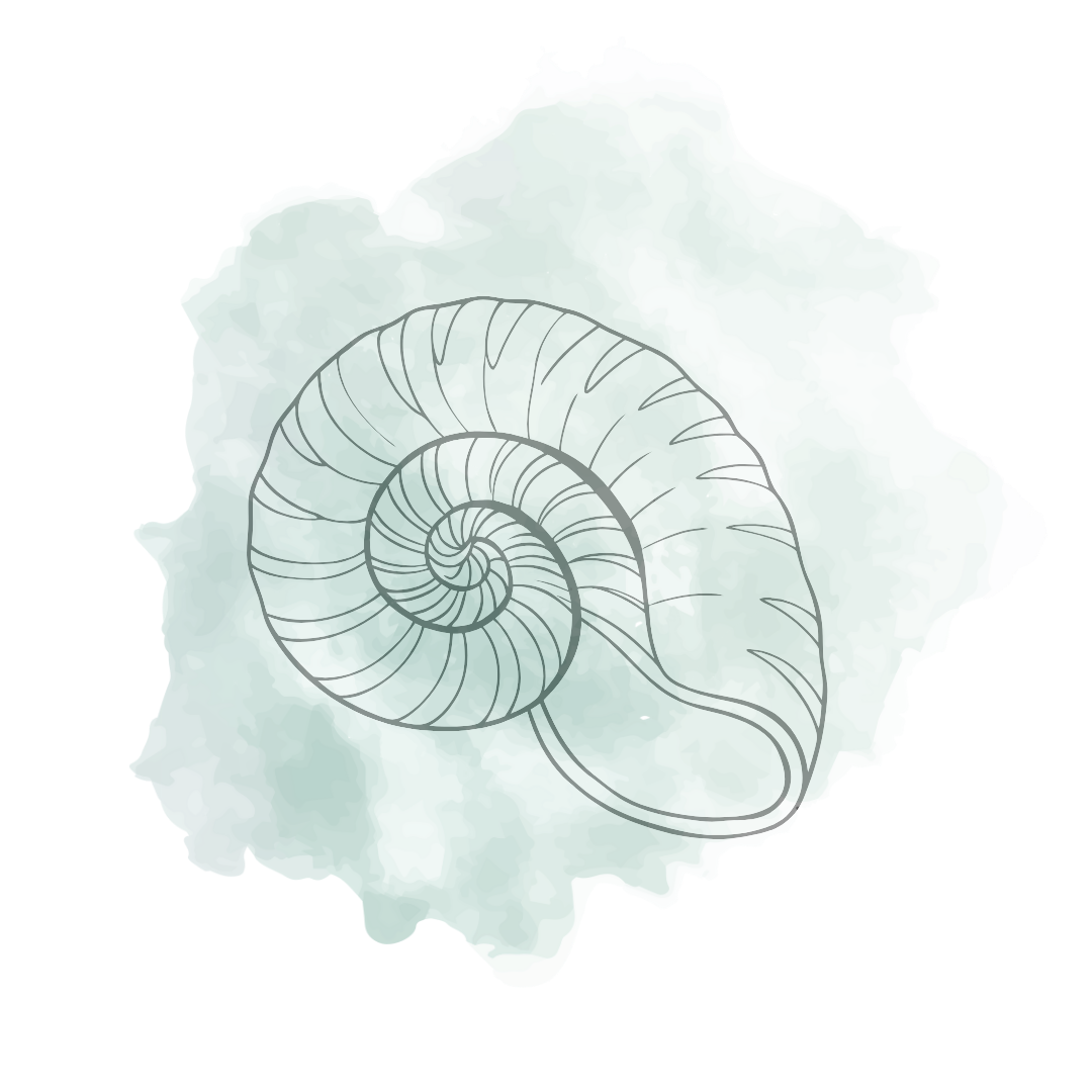 Snail Mucin