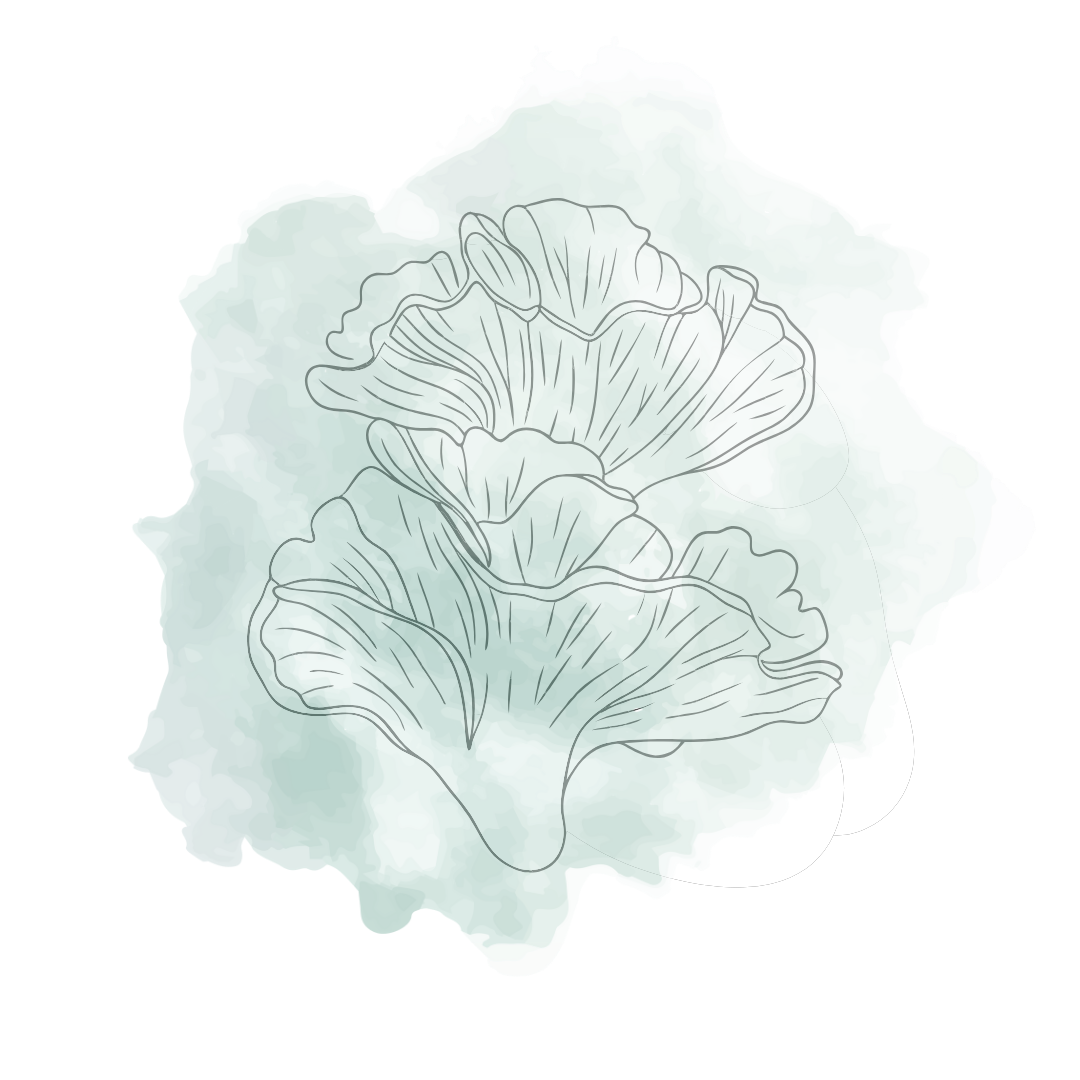 Snow Mushroom