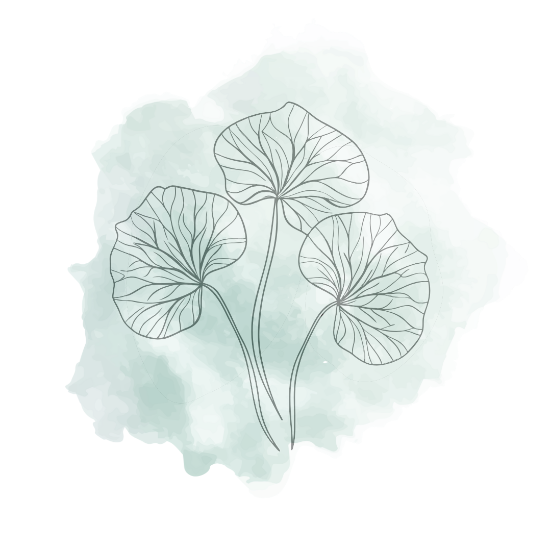Centella Asiatica