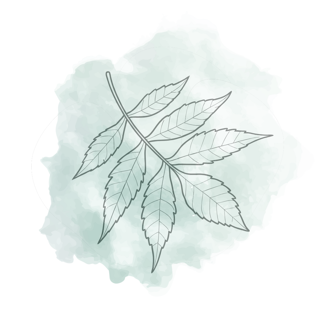 Neem and Skin Inflammation