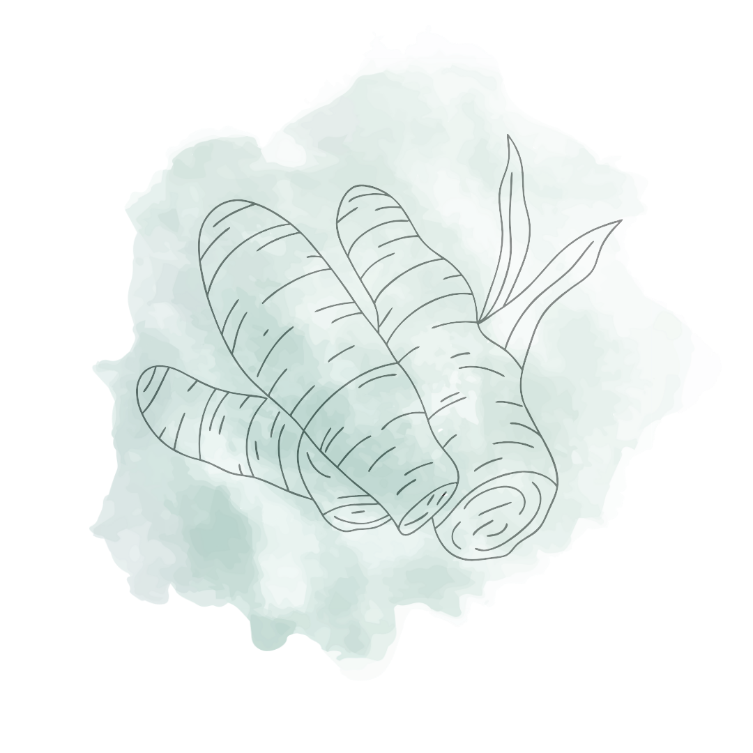 Turmeric Root