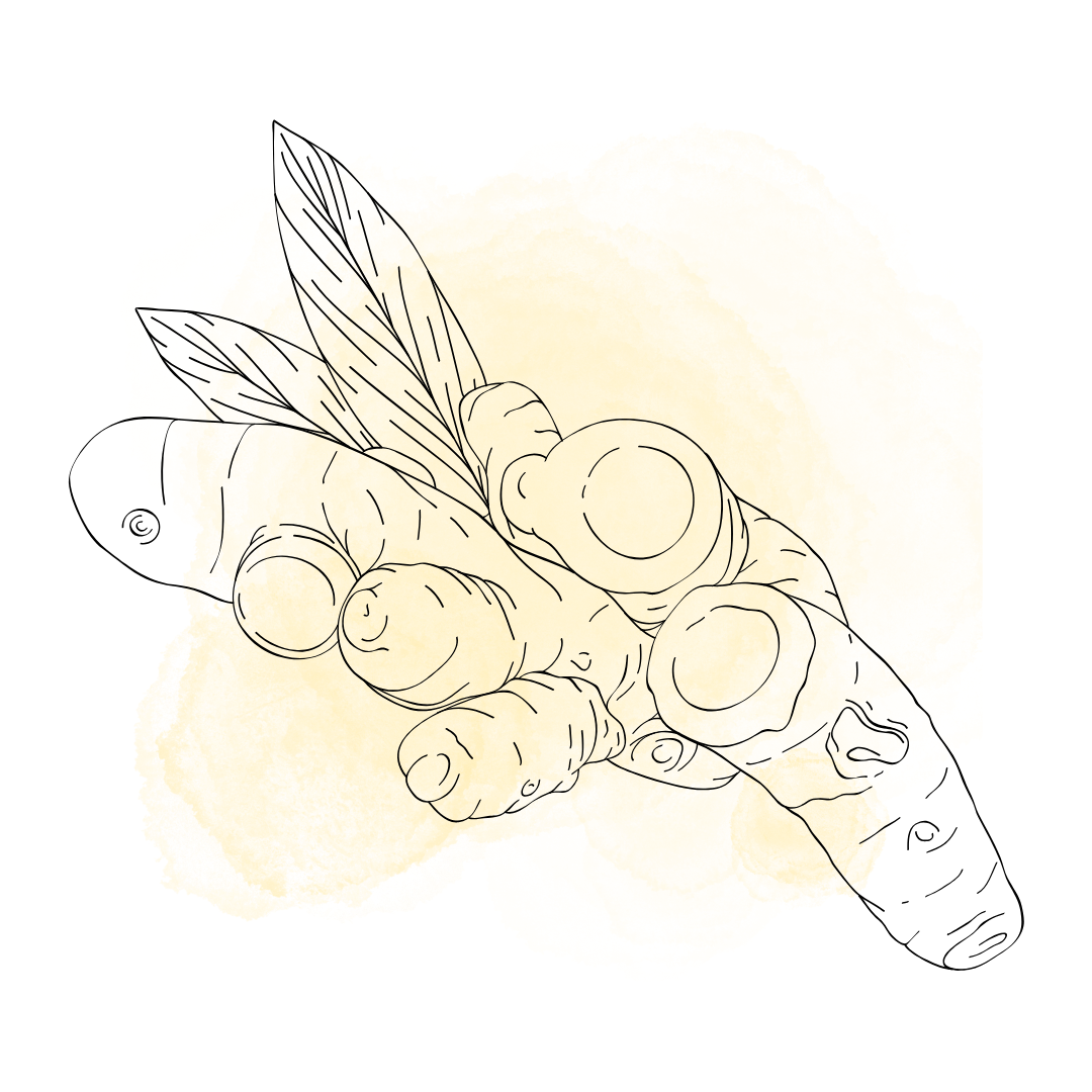 The Golden Healer: Turmeric’s Timeless Power